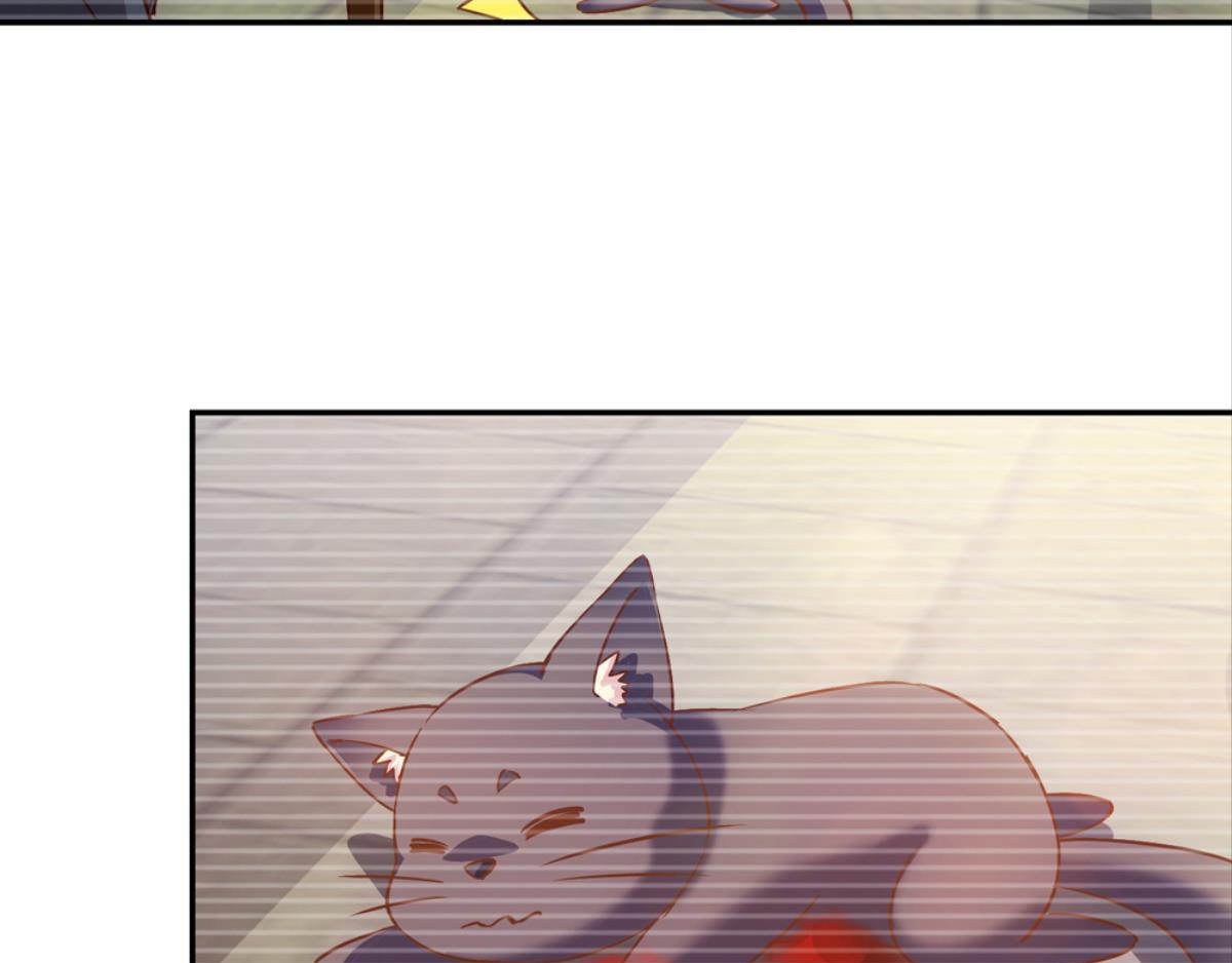 第37话：猫雀之争-第37话