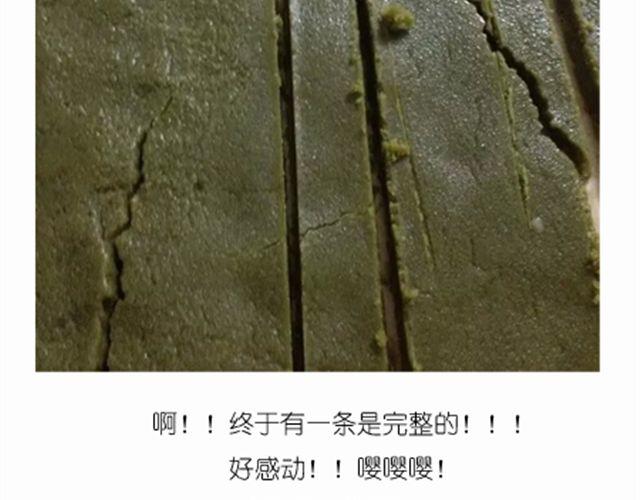 超级无敌华丽小熊猫饼干精美教程！(1/2)-第17话