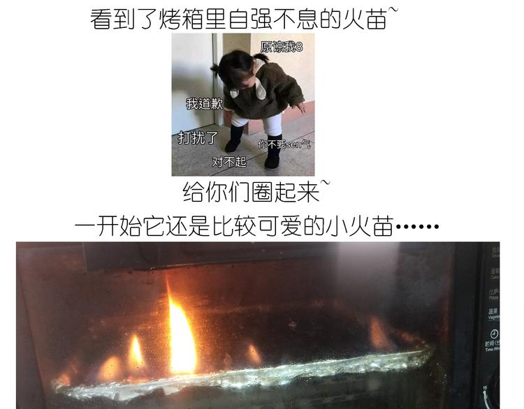 仙女的罗马盾饼干(1/2)-第163话