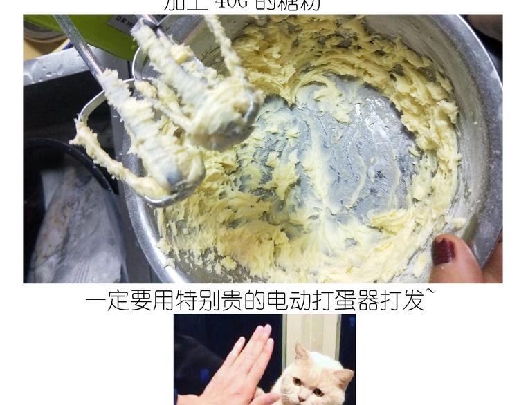 仙女的罗马盾饼干(1/2)-第163话
