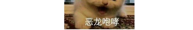 仙女的油泼面(1/2)-第165话