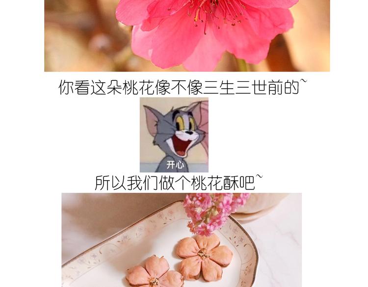 仙女的小桃花-第167话