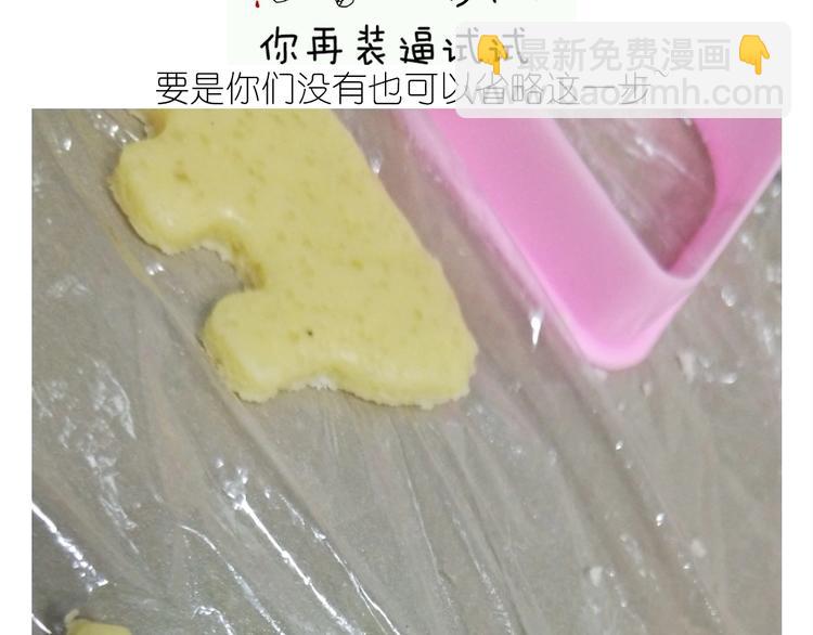 仙女的魔法饼干(1/2)-第171话