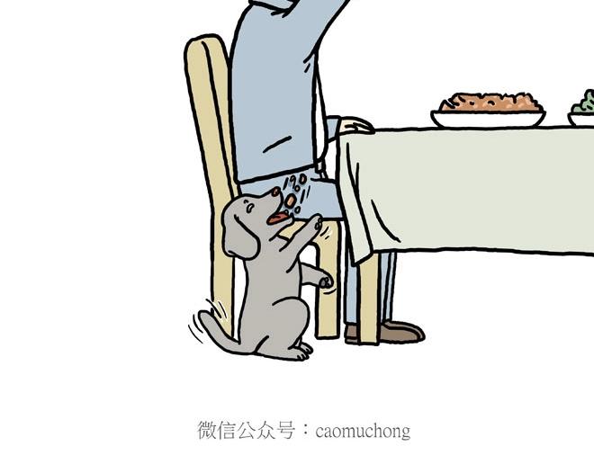 🍹繪心一笑 守护师傅婴儿期 第31页