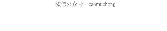 🍹繪心一笑 守护师傅婴儿期 第9页