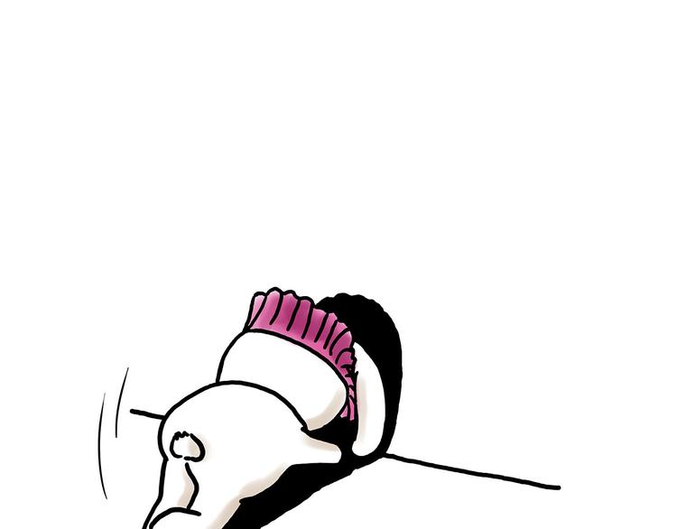 🍹繪心一笑 舞狮迎新年 第39页