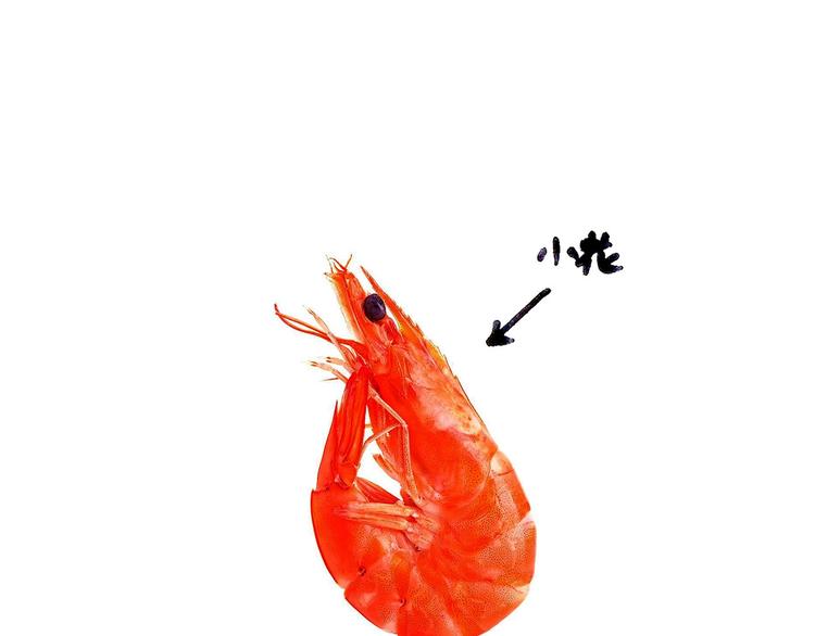 🍹繪心一笑 抢被子 第31页