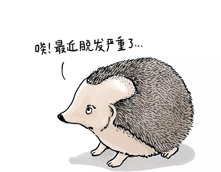 🍹繪心一笑 施工警示牌 第16页