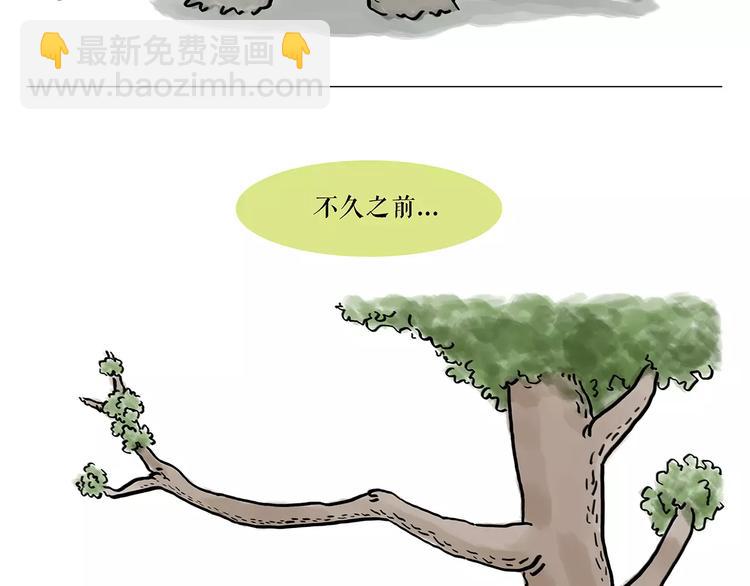 🍹繪心一笑 第165话  暖暖的熊 第33页