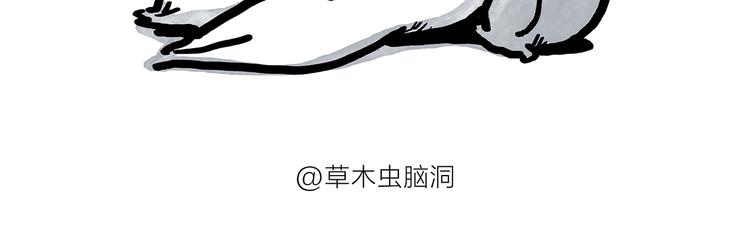 🍹繪心一笑 第187话 骆驼相亲 第5页