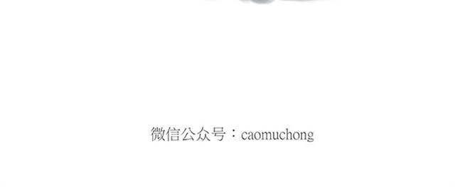 🍹繪心一笑 师傅赛龙舟 第36页