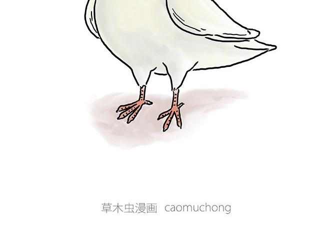 🍹繪心一笑 师傅的茶道 第30页