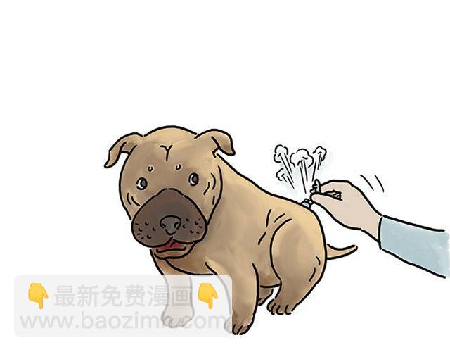 🍹繪心一笑 帮师傅挡羞 第27页