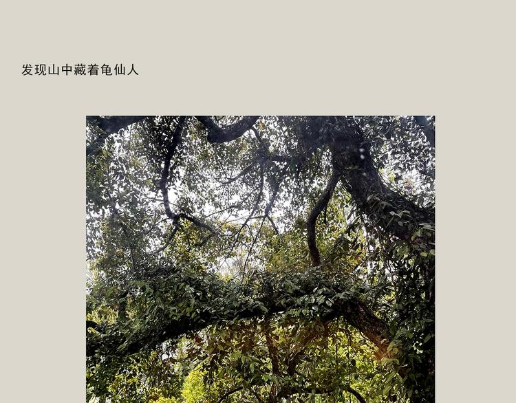 🍹繪心一笑 第323话 香蕉认错女朋友 第7页