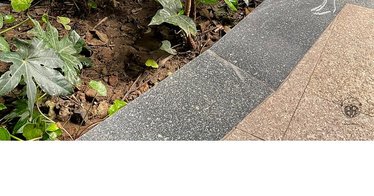 🍹繪心一笑 第335话 耳朵大显脸小吗？ 第14页
