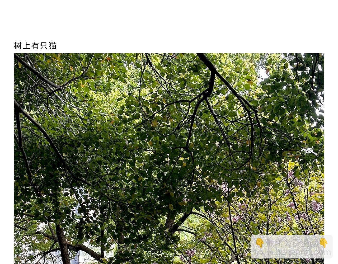 🍹繪心一笑 第429话 师父热疯了 第15页