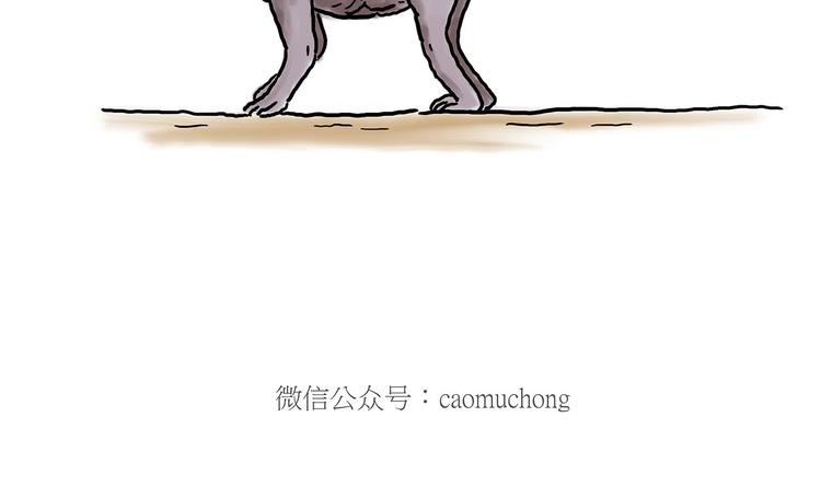 🍹繪心一笑 猴的新年 第22页