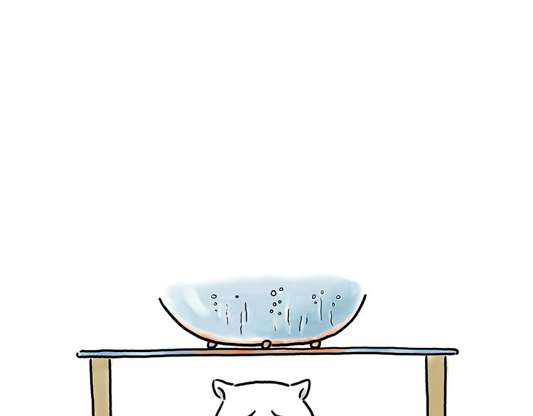 🍹繪心一笑 师傅照相馆 第19页