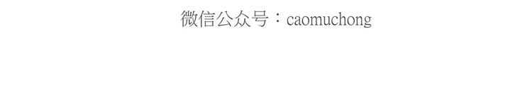 🍹繪心一笑 挤地铁 第32页