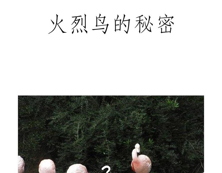 🍹繪心一笑 斗舞 第16页