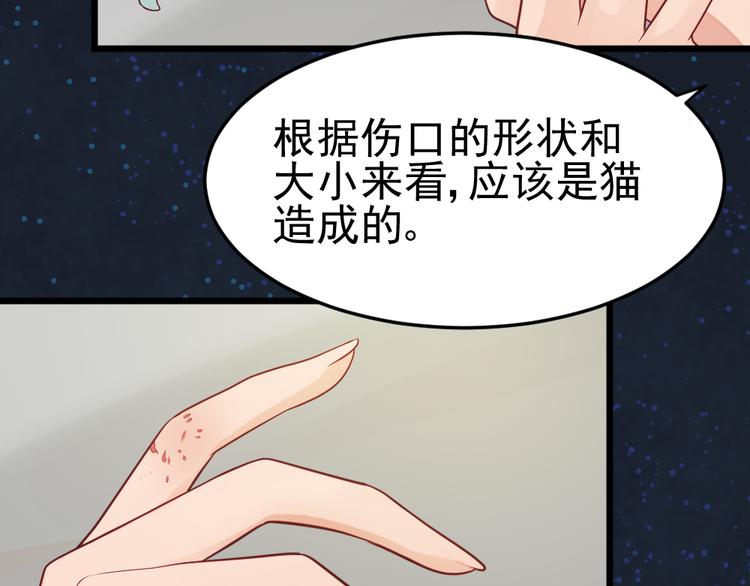 第11话  白夭夭中了猫嫁！！(1/2)-第11话