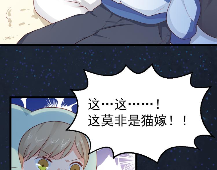 第11话  白夭夭中了猫嫁！！(1/2)-第11话