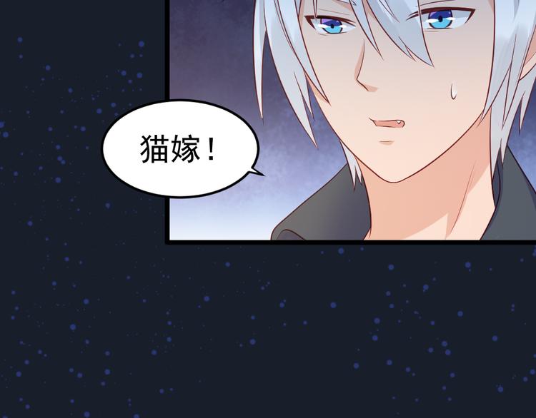 第11话  白夭夭中了猫嫁！！(1/2)-第11话