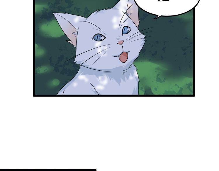 第17话 黑猫的过去！(1/2)-第17话