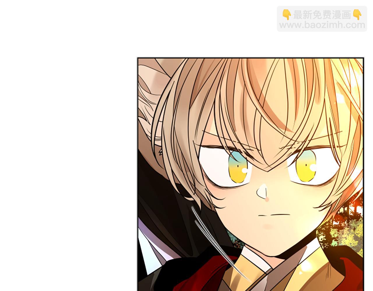🍹狐狸的枷锁 第164话 解救行动 第29页
