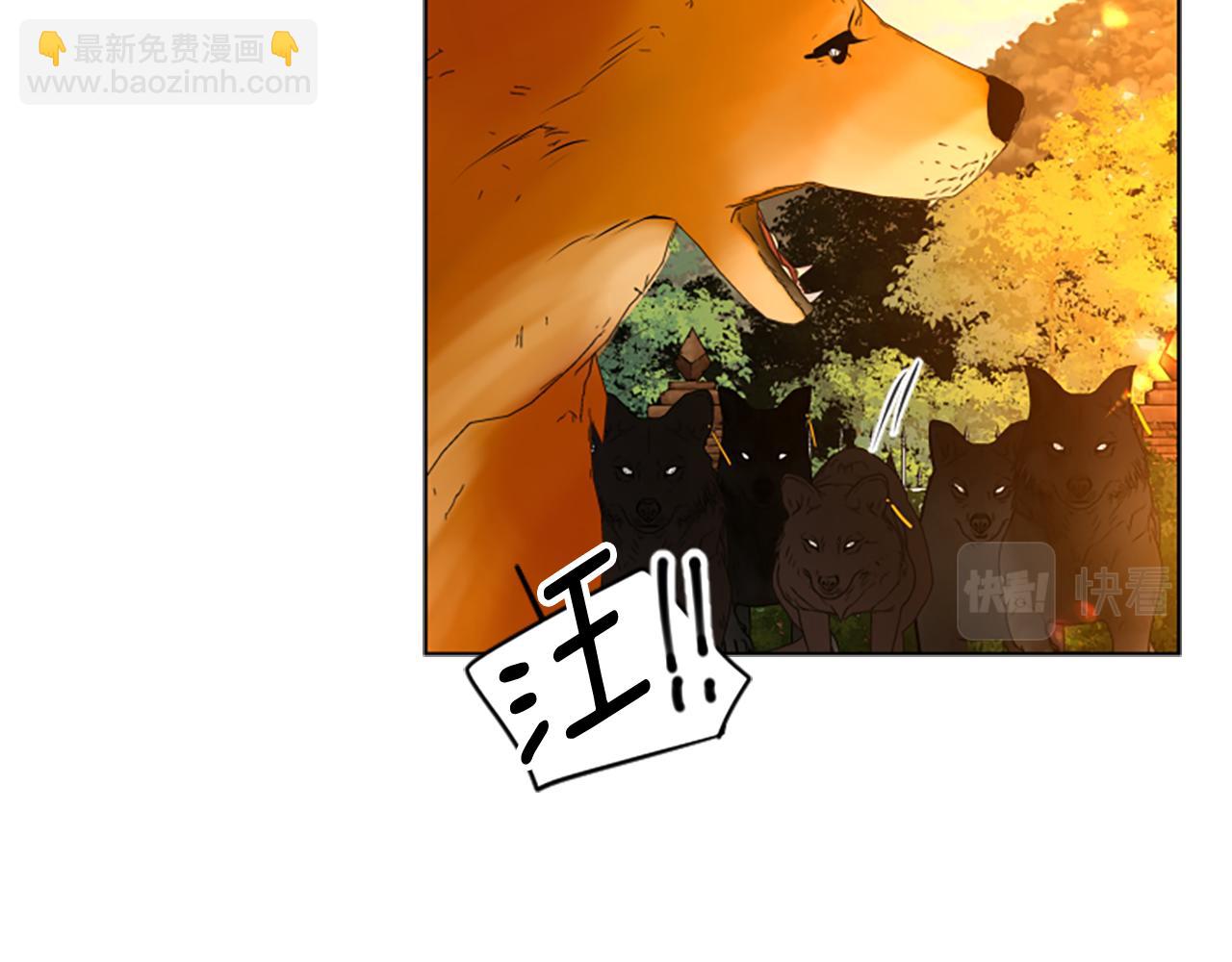 🍹狐狸的枷锁 第164话 解救行动 第42页