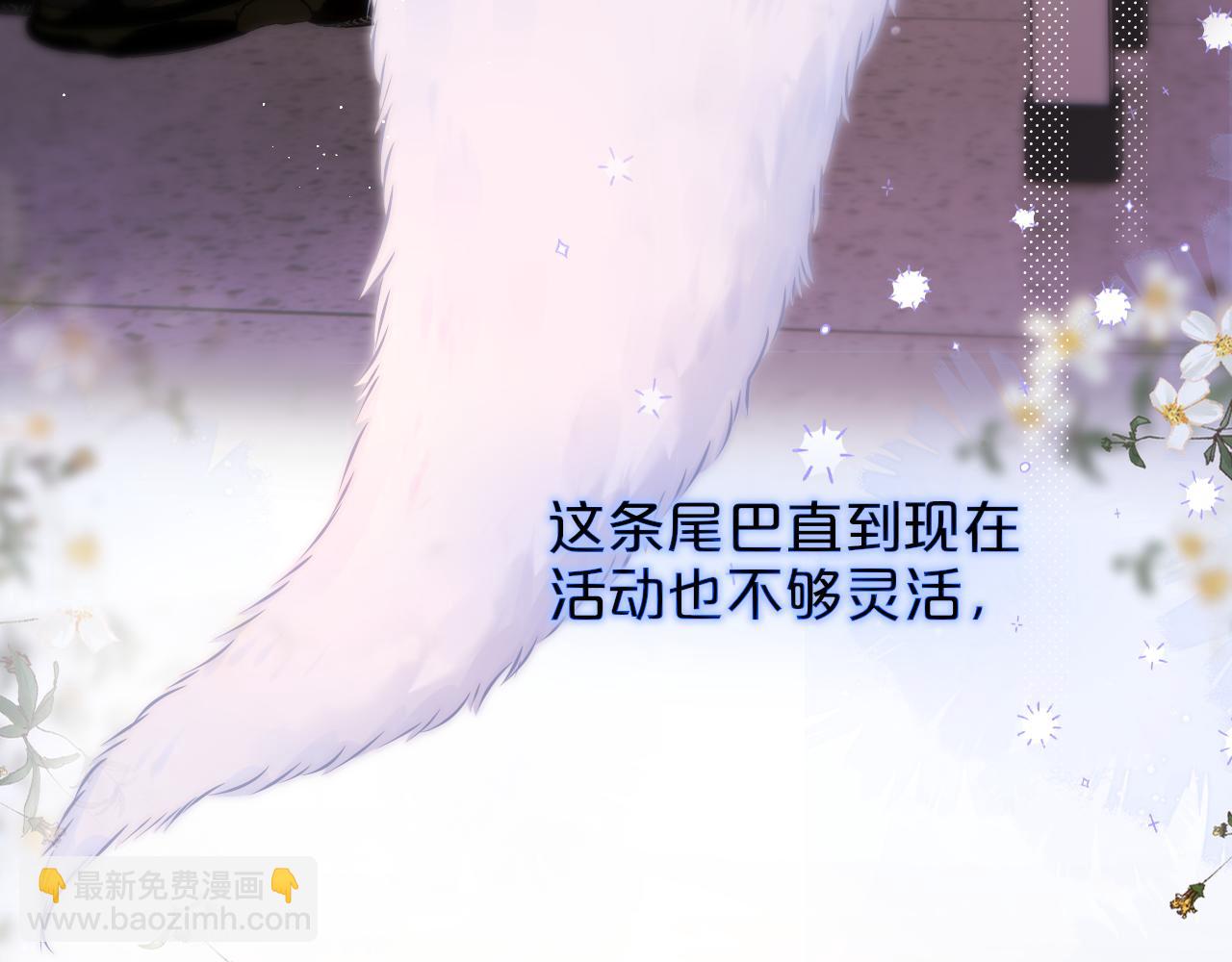 第35话 小猫咪(1/3)-第41话