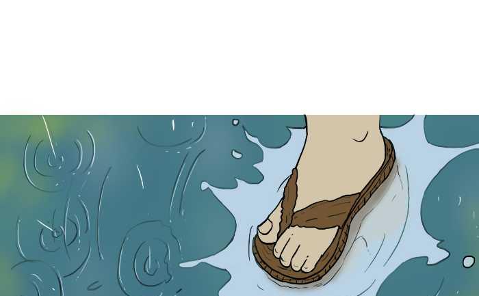 287 雨中缘-第287话