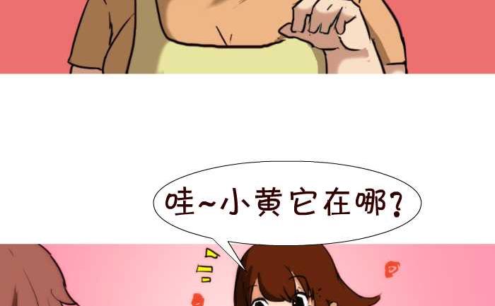 43 帮忙看狗-第43话