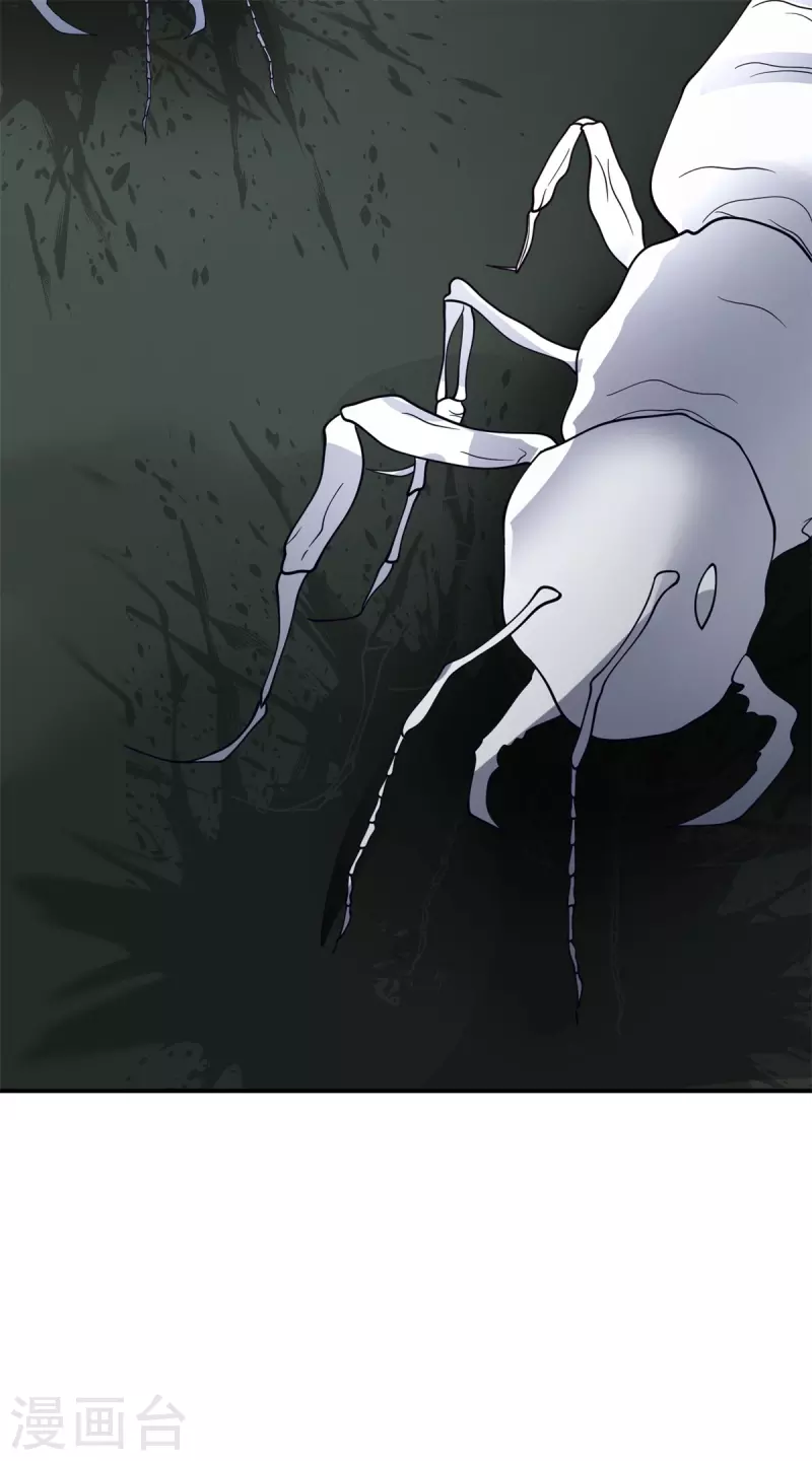🍹混沌丹神 第335话 海蚁 第6页