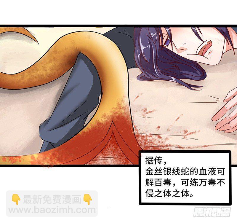 第32话 金丝银线蛇-第35话
