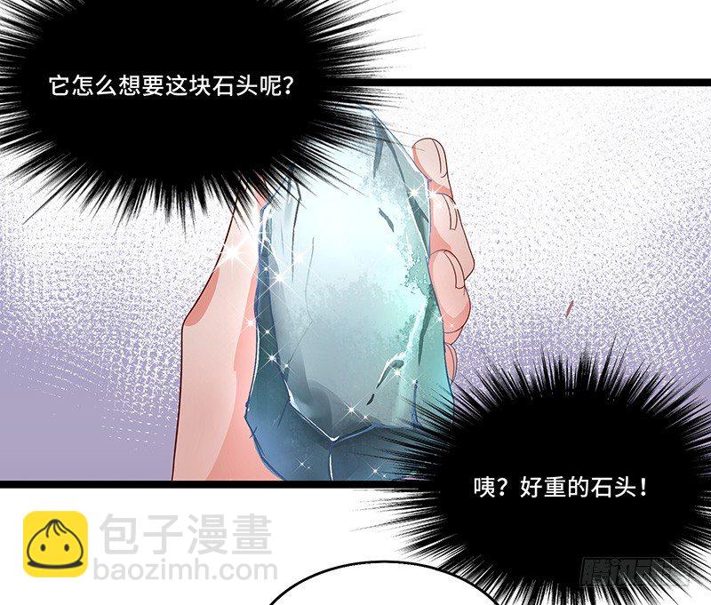 第34话 谜之石头-第37话