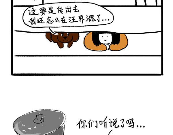 🍹虎妞儿的日常 狗子地位不保 第11页