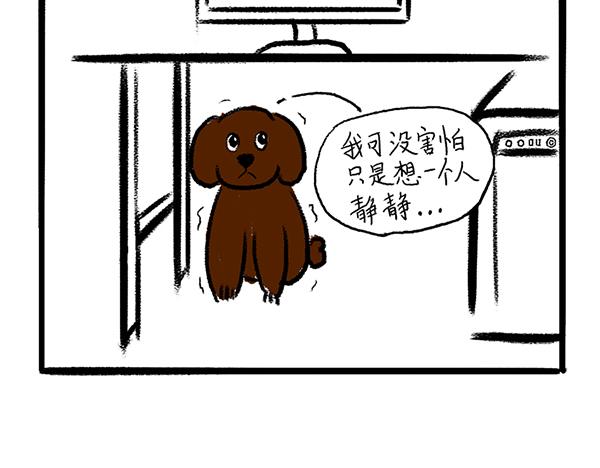 🍹虎妞儿的日常 狗子地位不保 第3页
