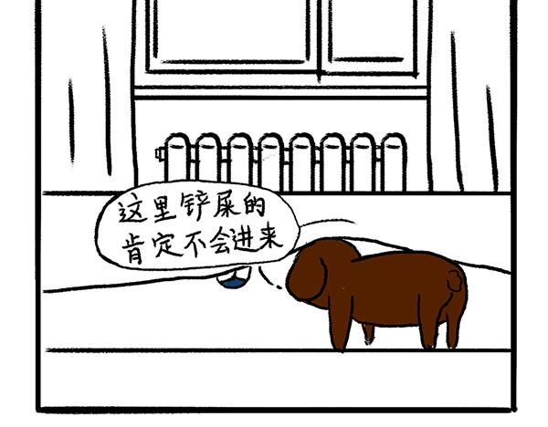 🍹虎妞儿的日常 狗子地位不保 第8页