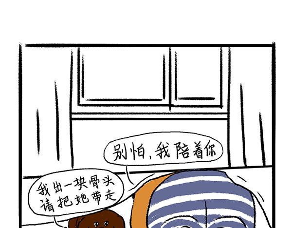 🍹虎妞儿的日常 狗子地位不保 第9页