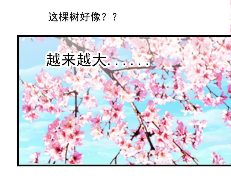 第四十三章-第43话
