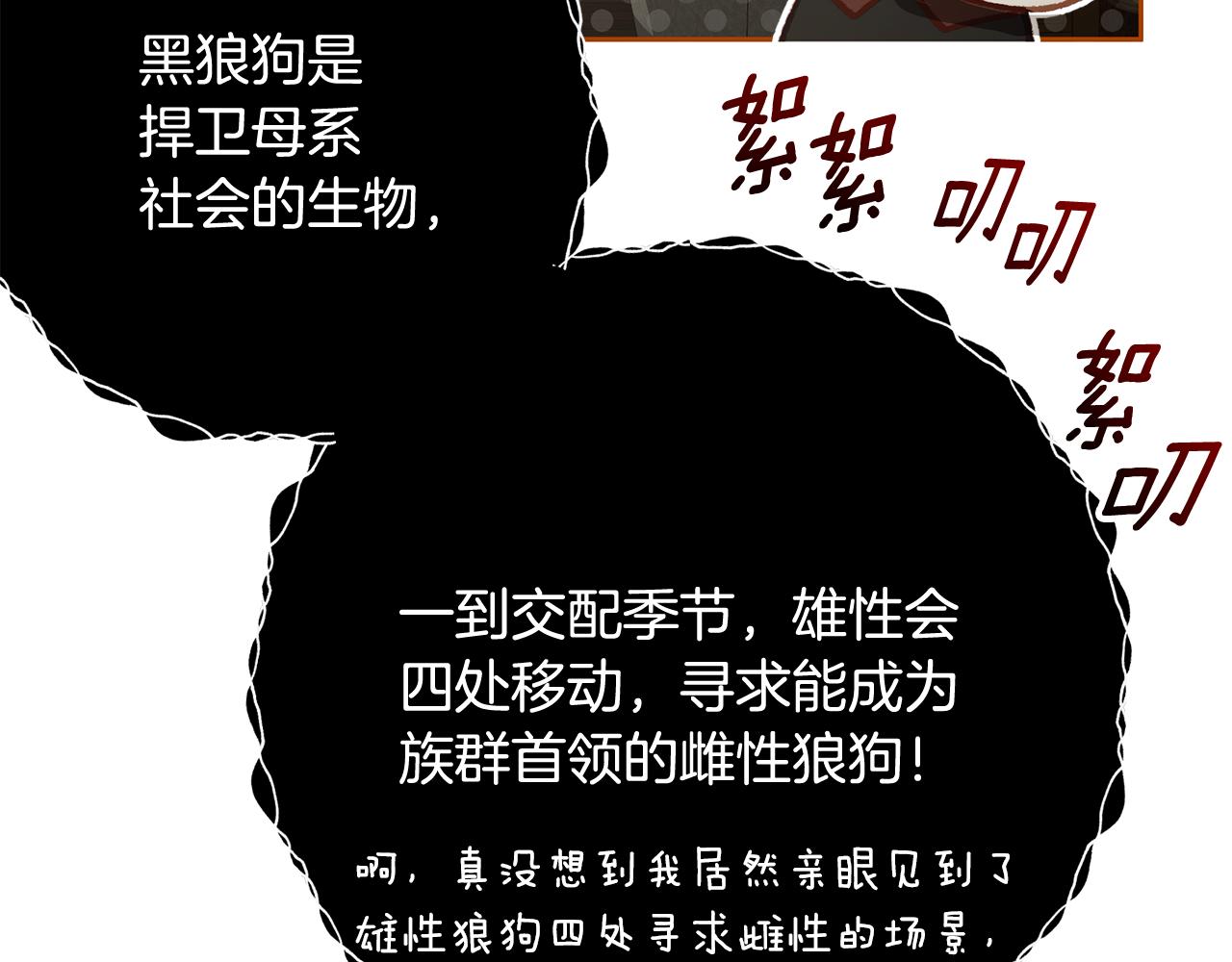 外传 第3话 最绚烂的礼物(1/5)-第99话