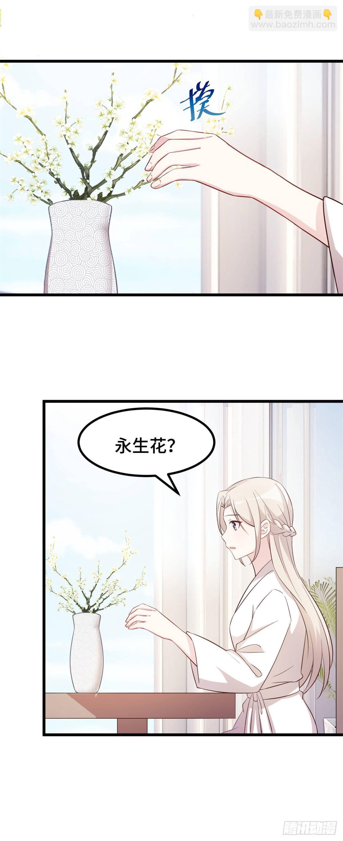 第8话 心脏记忆-第9话