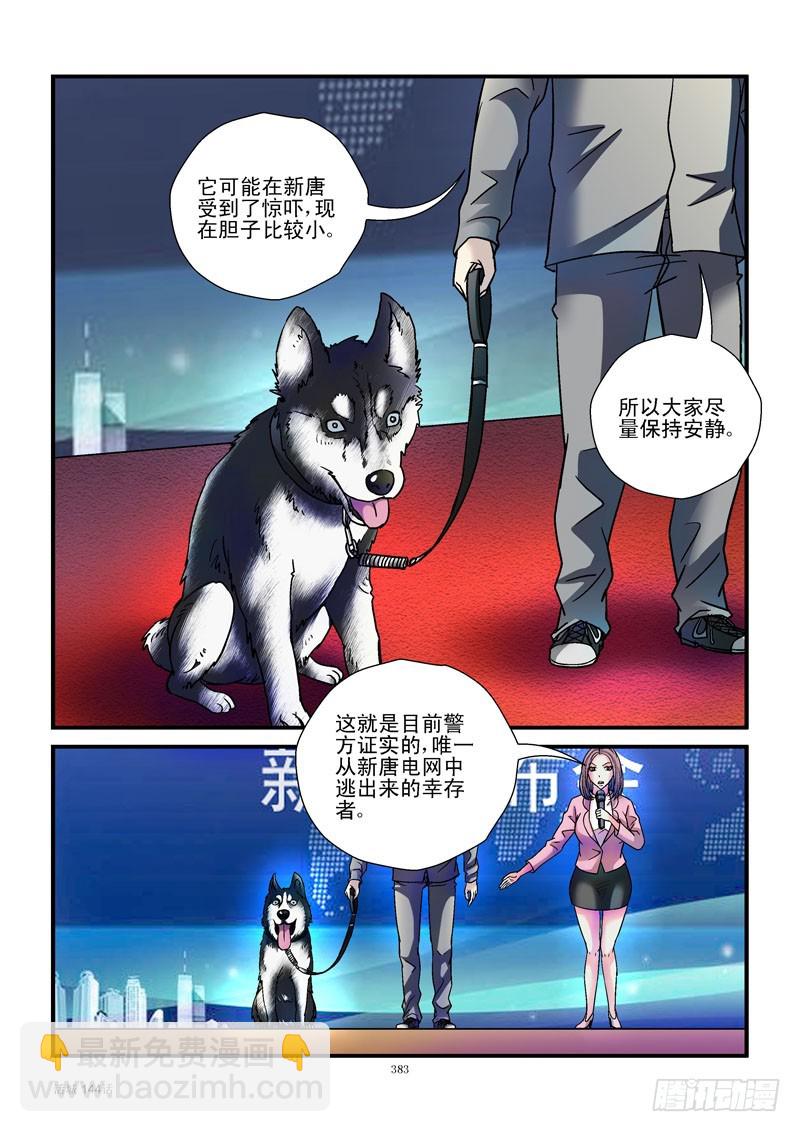🍹活城 144,汪星人 第4页