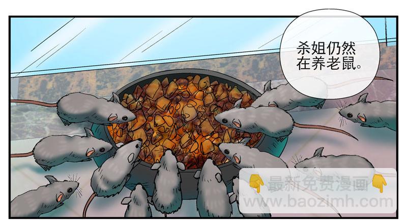 🍹活城 动乱世界与平静杀城组 第23页
