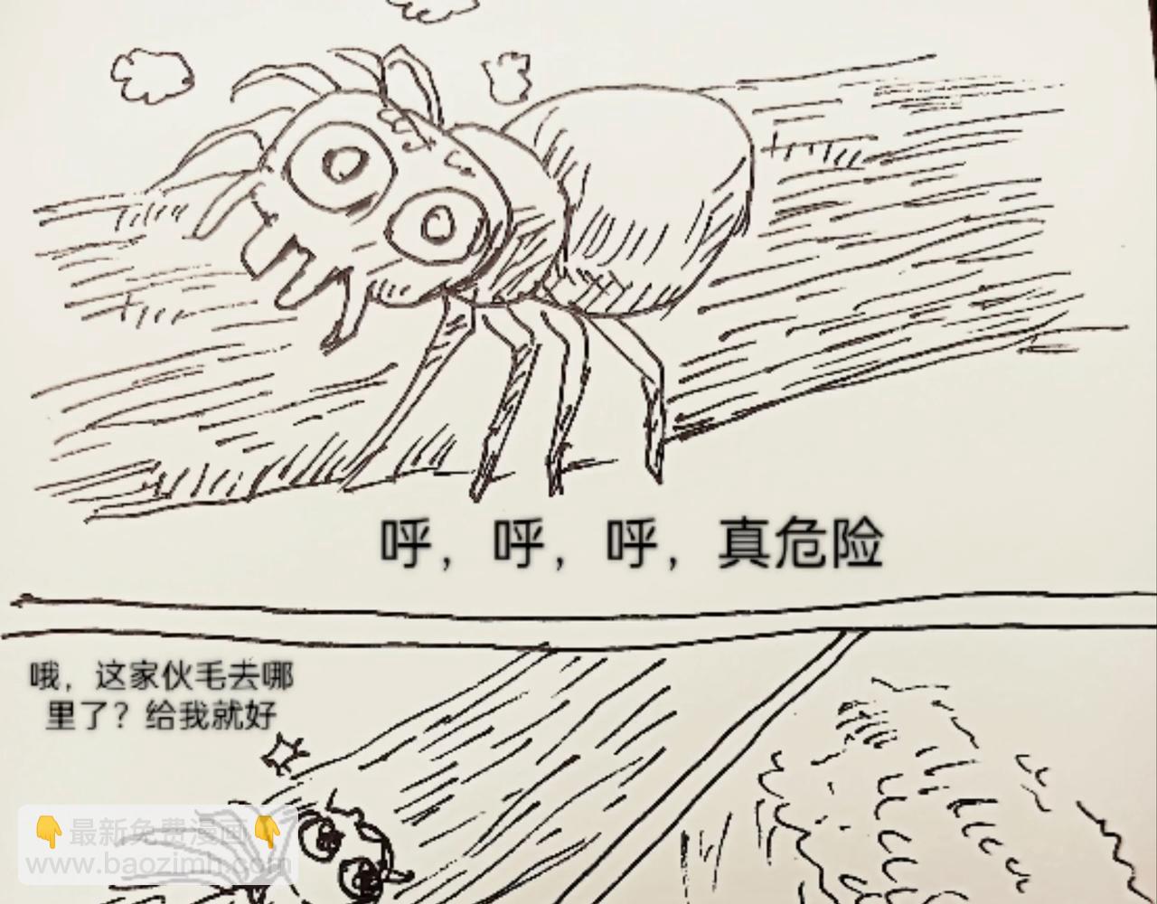 蜘蛛想拥有一双翅膀-第11话