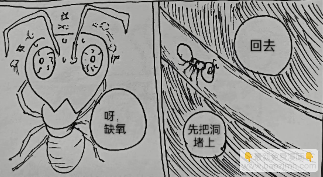蚂蚁被送到月球-第25话