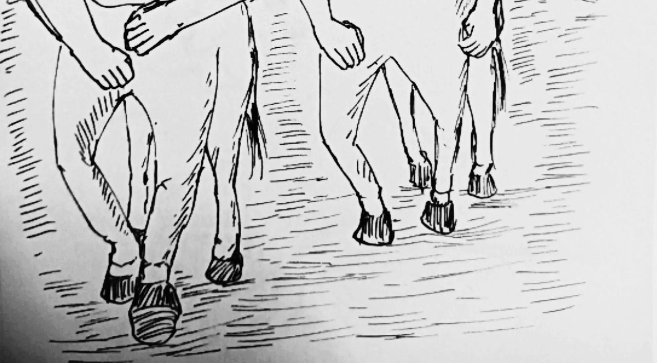 圆形飞船设计方案-第39话