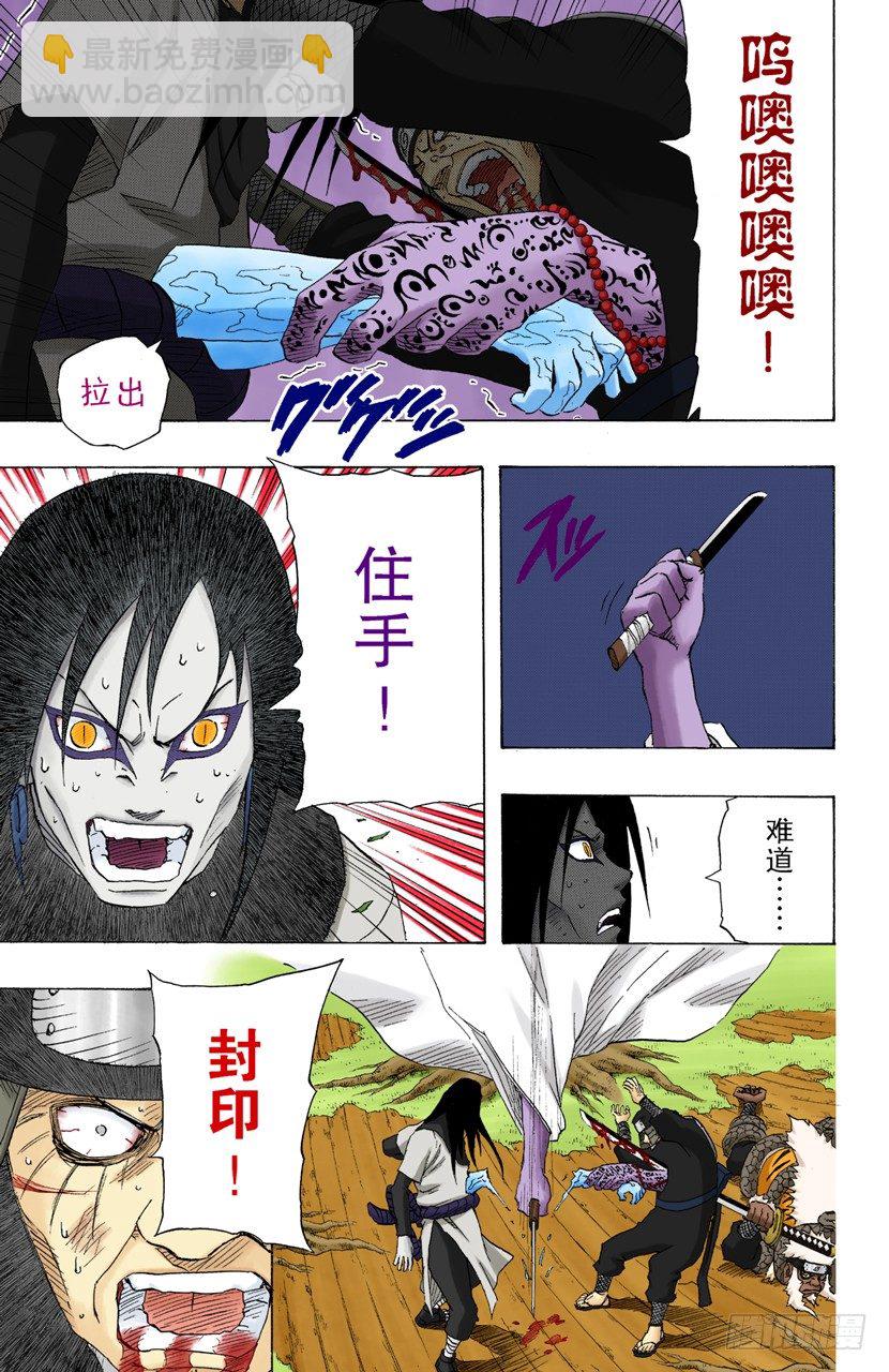 🍹火影忍者（全彩版） 第137话 木叶的忍者 第15页