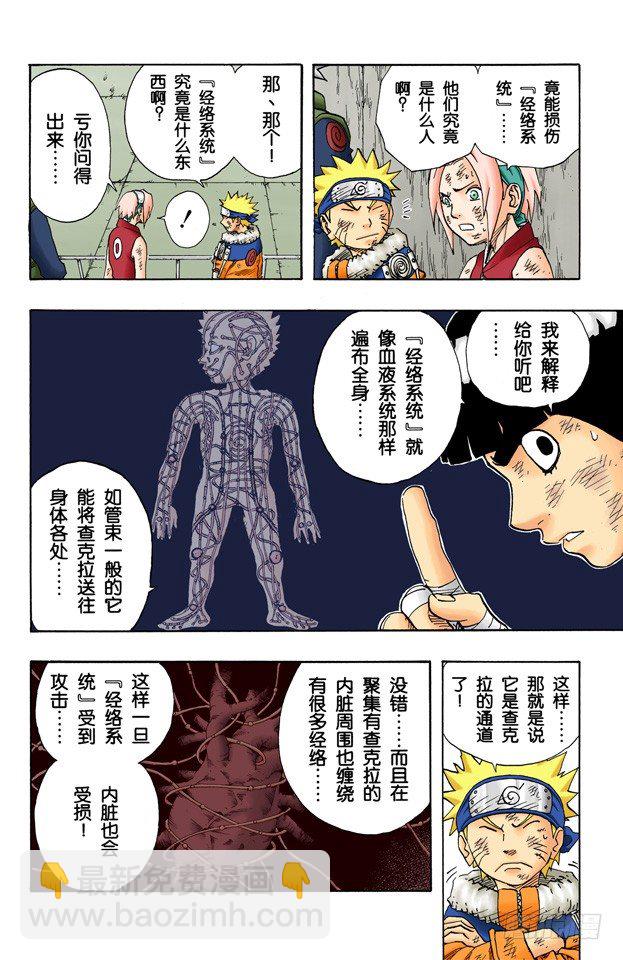 🍹火影忍者（全彩版） 第79话 日向一族 第10页